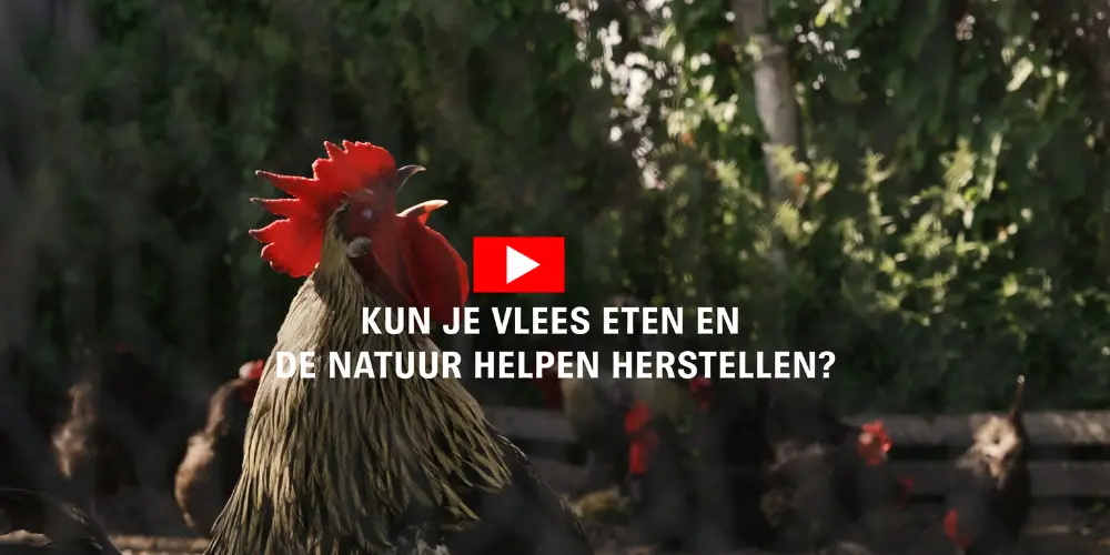 De groei van regionale producten - Noord‑Holland koploper - www.vleeskopenbijdeboer.nl