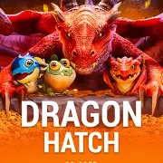 dragon hatch