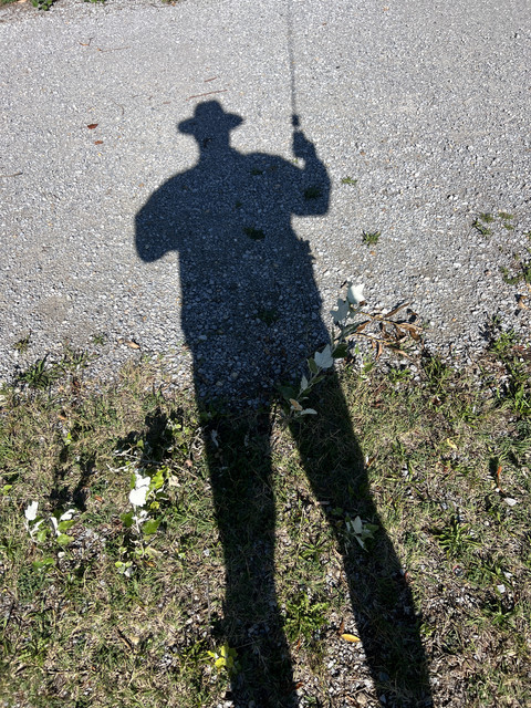 IMG-3172.jpg