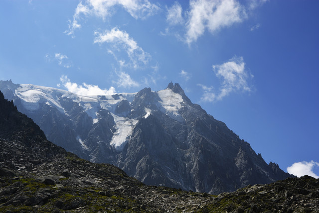 DSC1490a.jpg