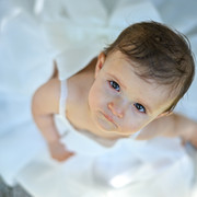 Pic 255