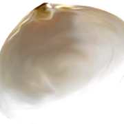 03-653623