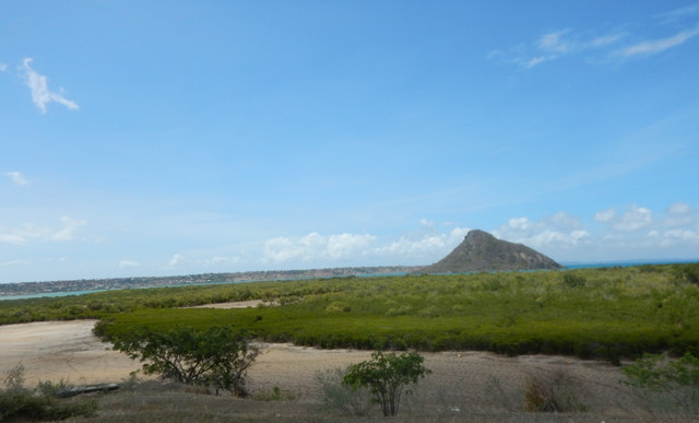 DSCN1188