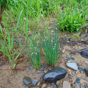 DSC05860