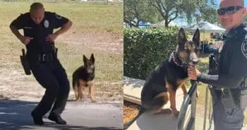 Florida Officer and K-9 Show Off Their Dance Skills Together