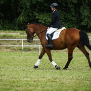 DSC05264