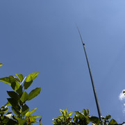 IMG 7443