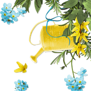 Arlene-Spring-Page-Cluster-blog-preview