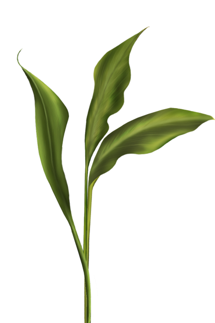 7e41a60c2c329a2309f4da9082bdb5e8.png