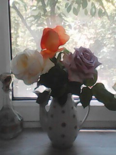 IMG0303A.jpg