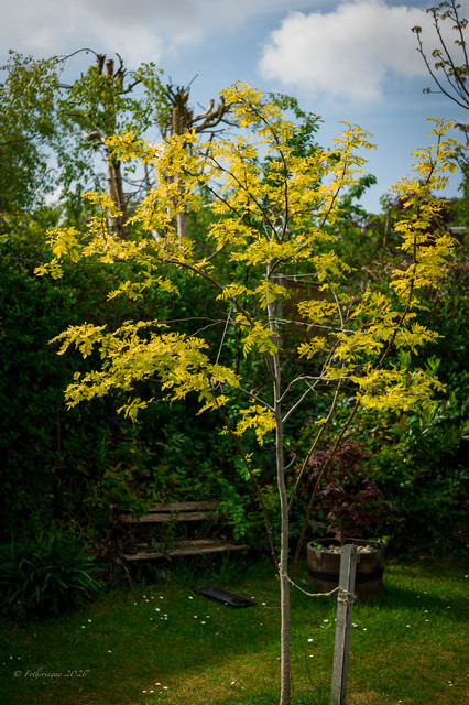 L1461207.jpg