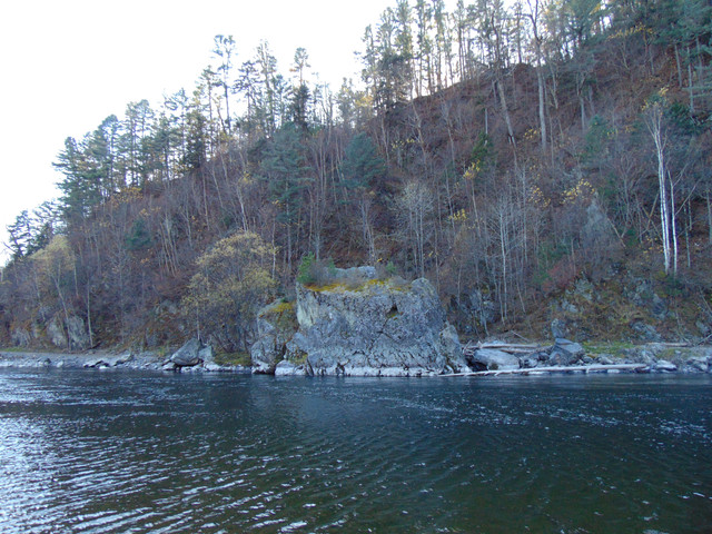 DSC05408.jpg