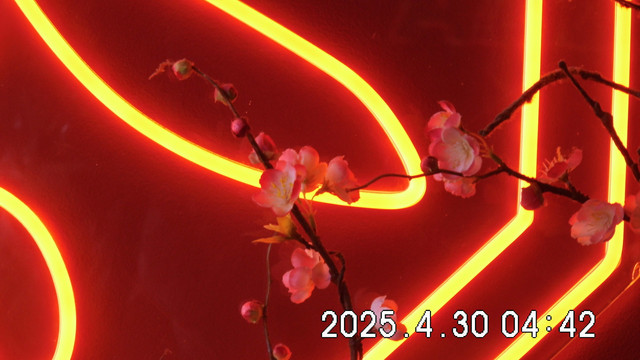 DSCI0098