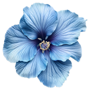 4b956d7e86fe61c0da307aa7826b7ff7
