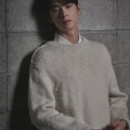 cha eun woo 1301921