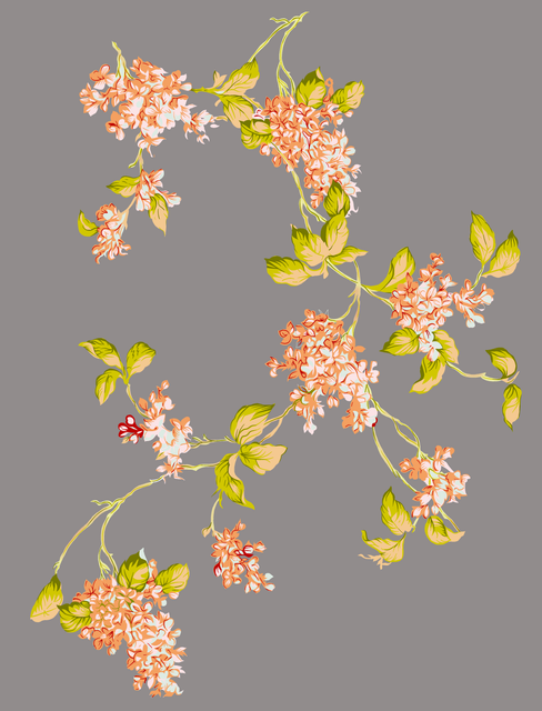 d46b4a7d1744f0f5036c270bc8c5cb88.png