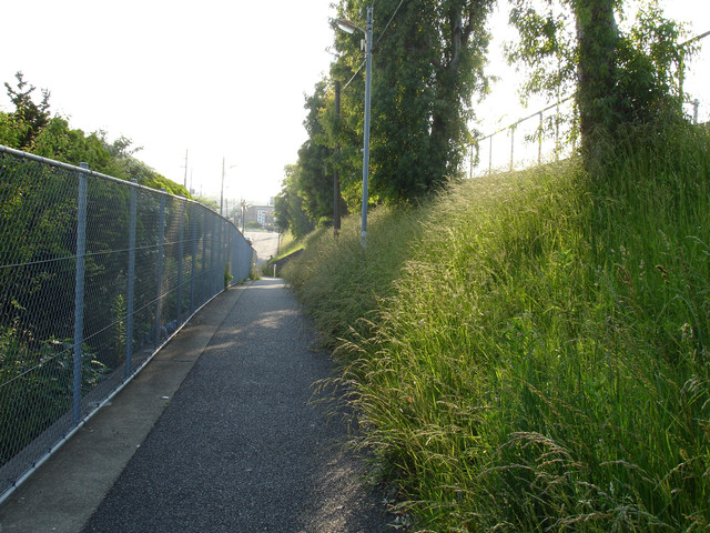 2010-06-03-55.jpg