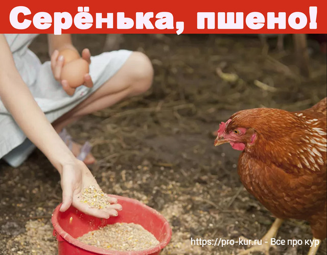 [Image: 2300.jpg]