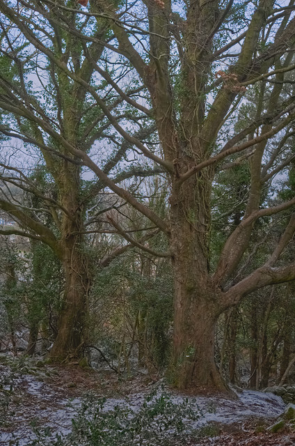 DSCF7143.jpg