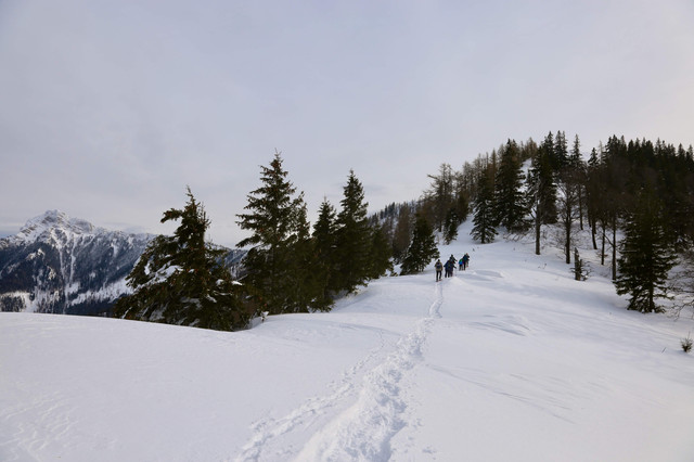 IMG-0175.jpg