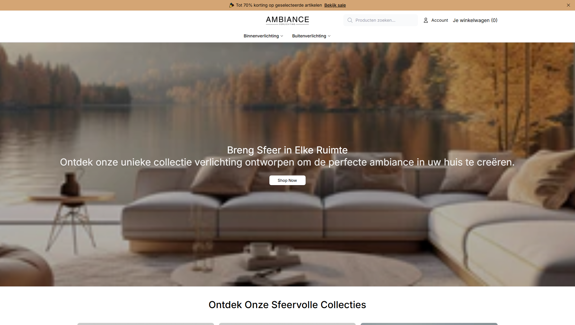 Stored capture of ambianceverlichtingdirect.shop
