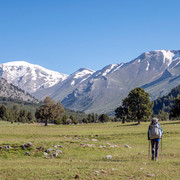 IMG 0766 (2)