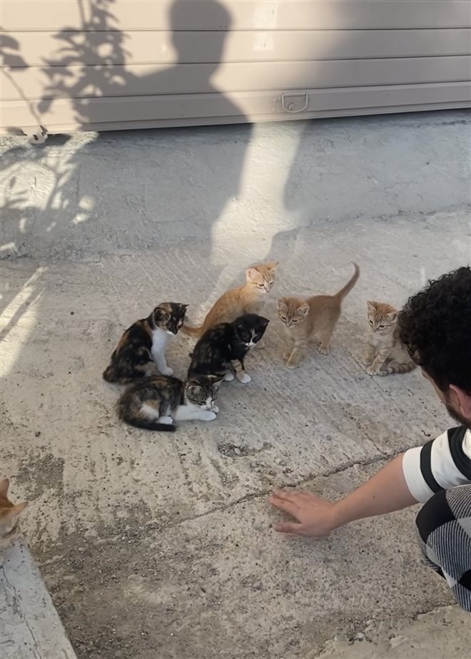 Pet we helped