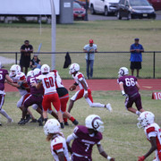 IMG-2586