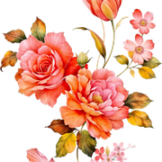 4edce328d92540d15cebe0ae777ab5b7