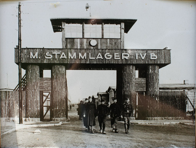 https://i.ibb.co/7Jrsr759/image.jpg