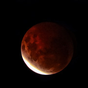 DSCN5184