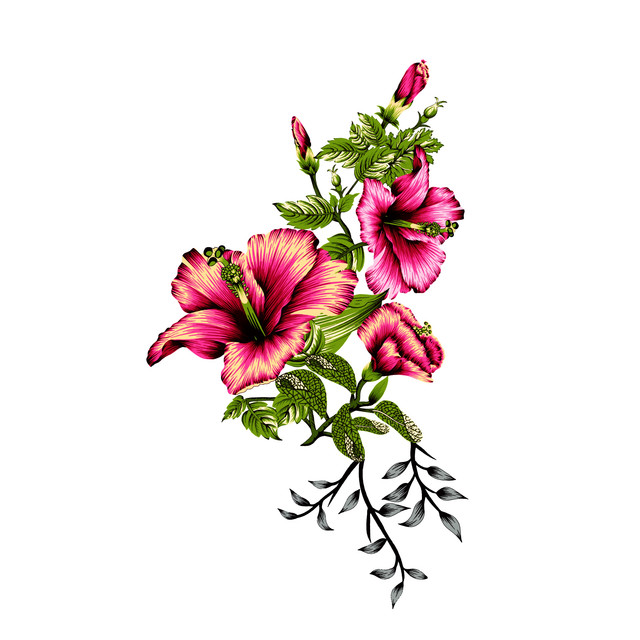 shutterstock 2277503143.jpg