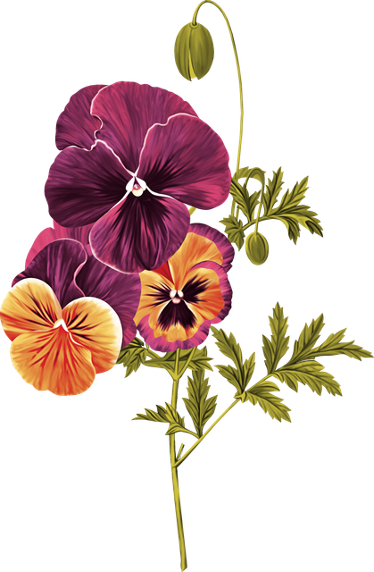 13cfbb72200a615f281914c2c568348c.png
