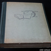 IMG-3487