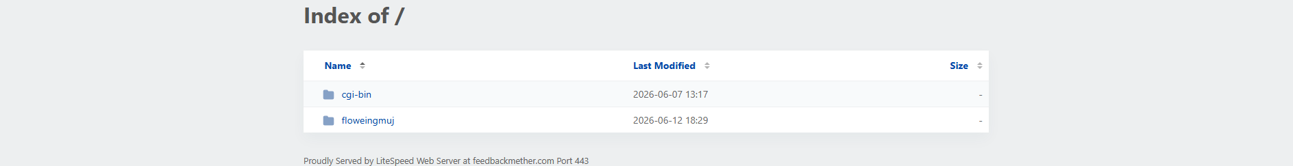 Screenshot of feedbackmether.com
