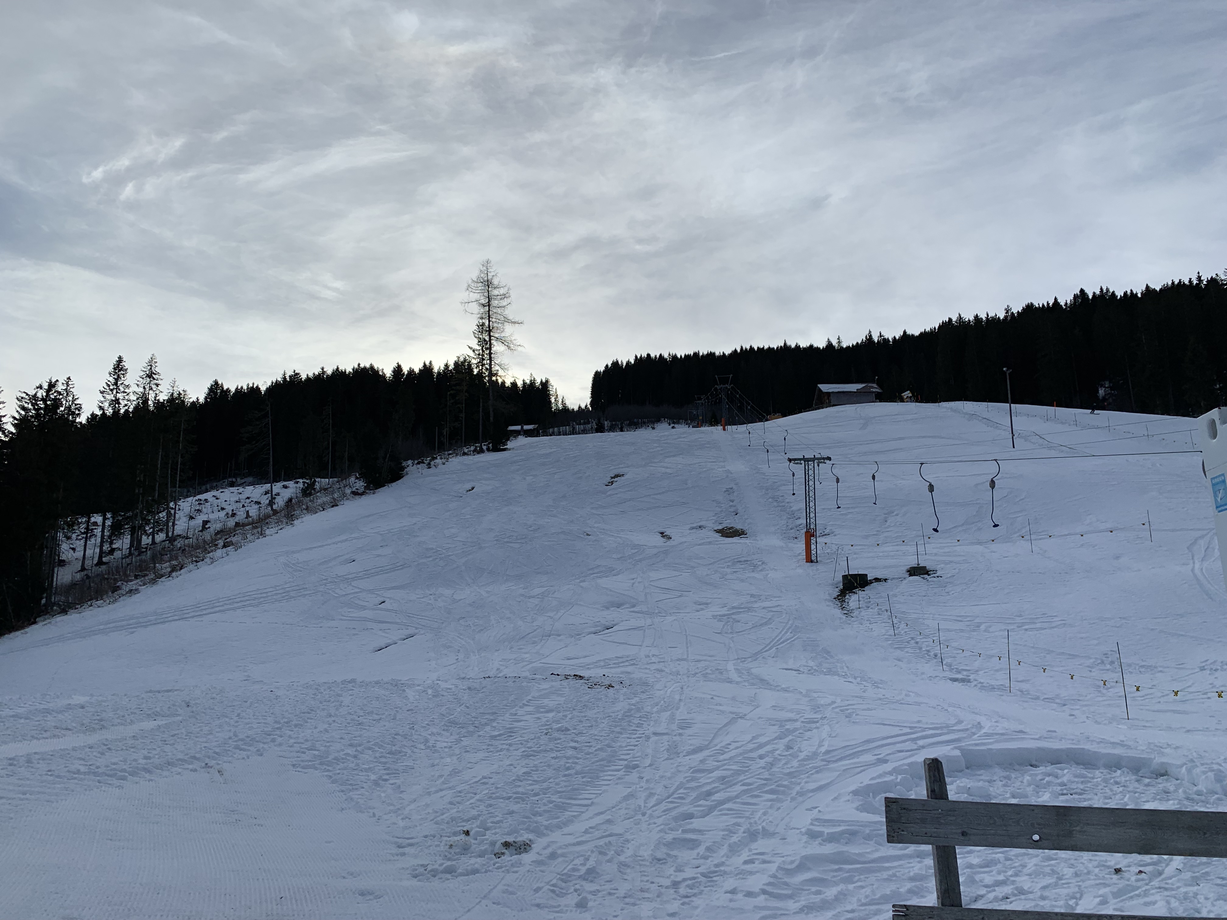 IMG-0589.jpg