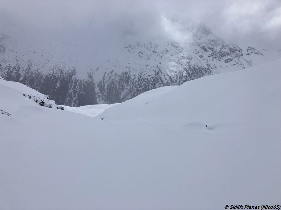 IMG-4529.jpg