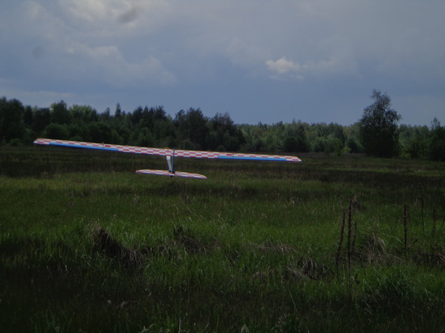 DSC00540.jpg