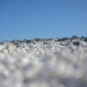 DSCF8491