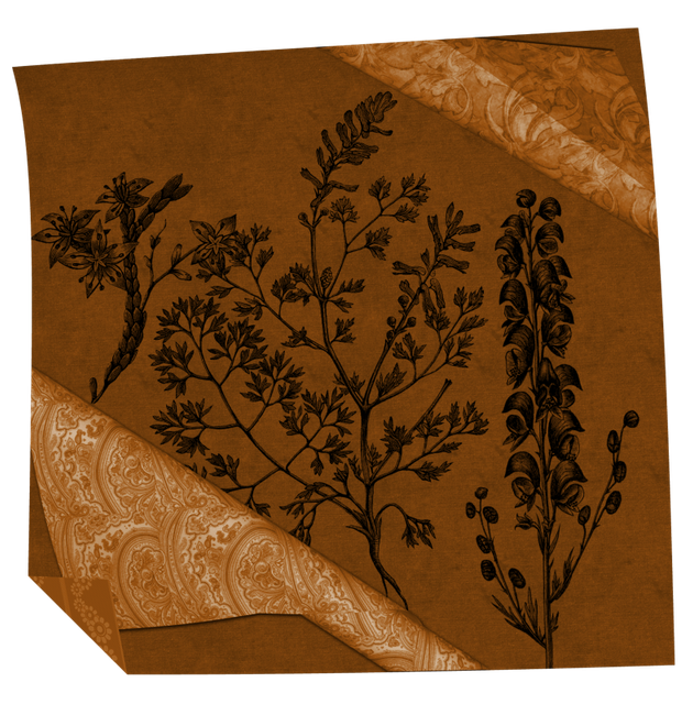 papier-brun.png