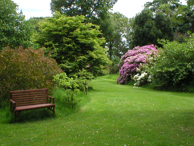 Arley-0-05