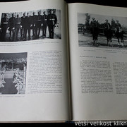 IMG-5542