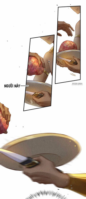 19-copy