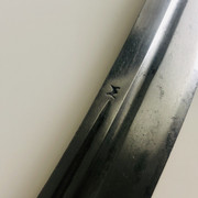 IMG-E1564