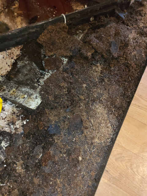 subfloor2.jpg