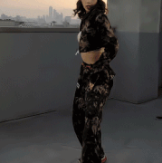 LISA1