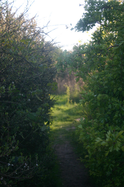 IMG-0362