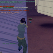 deagle13