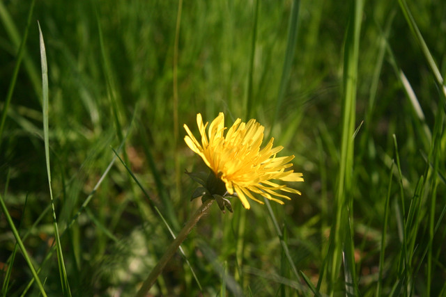 IMG-0337