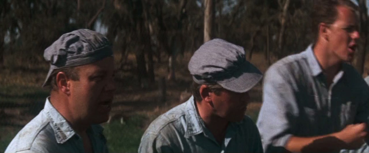 Cool Hand Luke Screenshot
